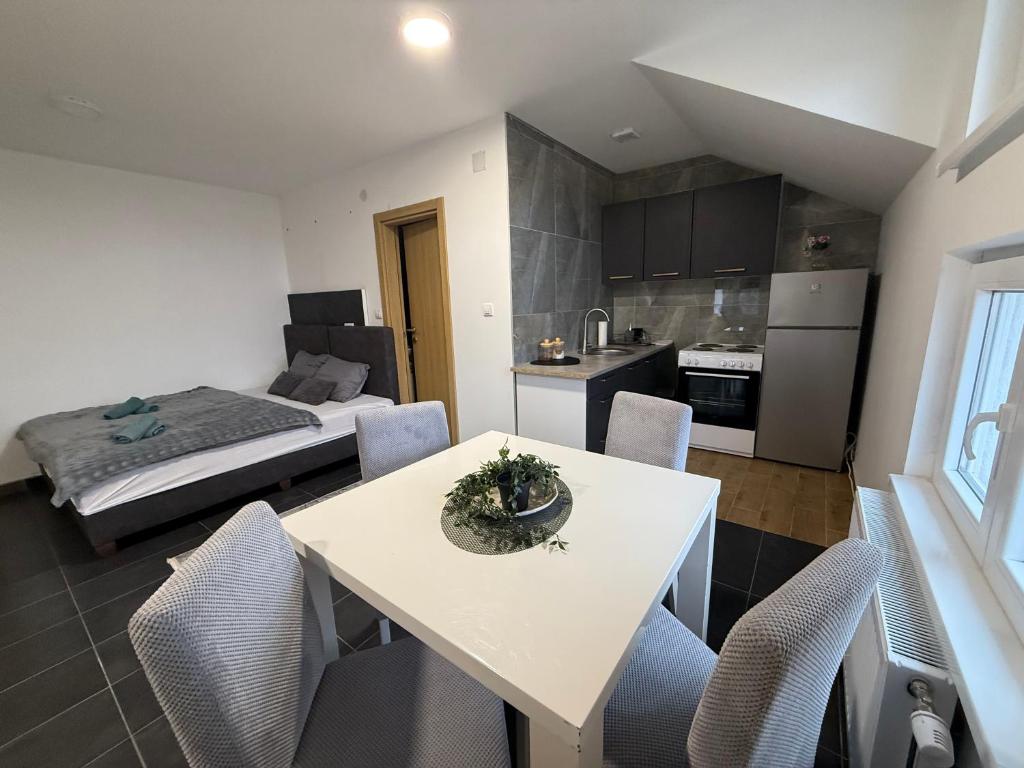 Apartman Rest Novi Sad - 1