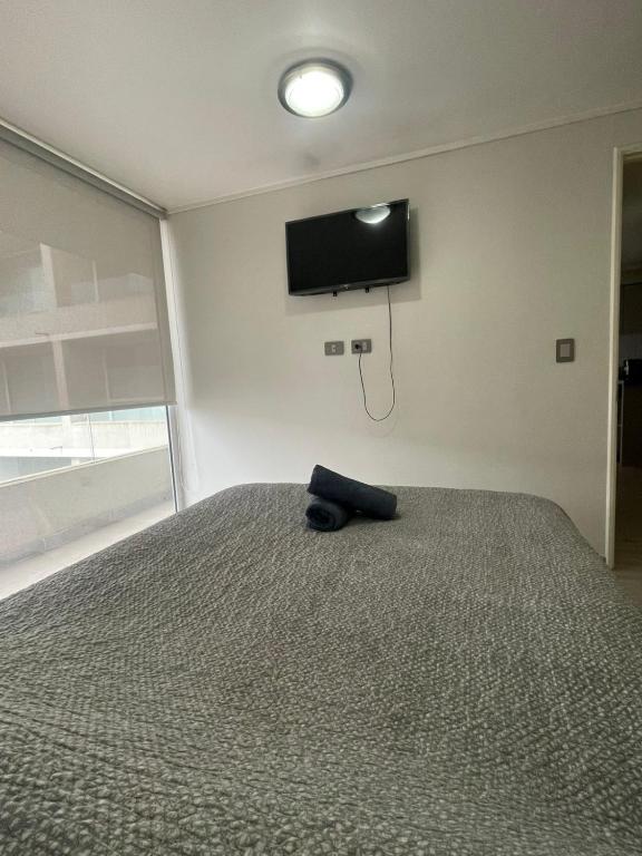 Alojamiento donde Alejandra - 5