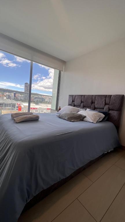 ONE, Luxury Carolina Suite - 5