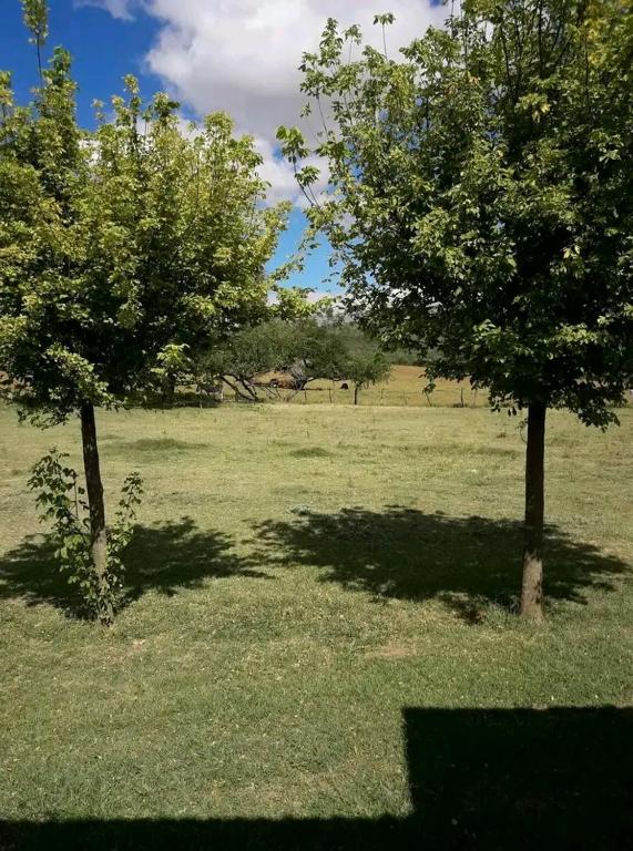 Alojamiento Luukii Dueño directo - 4