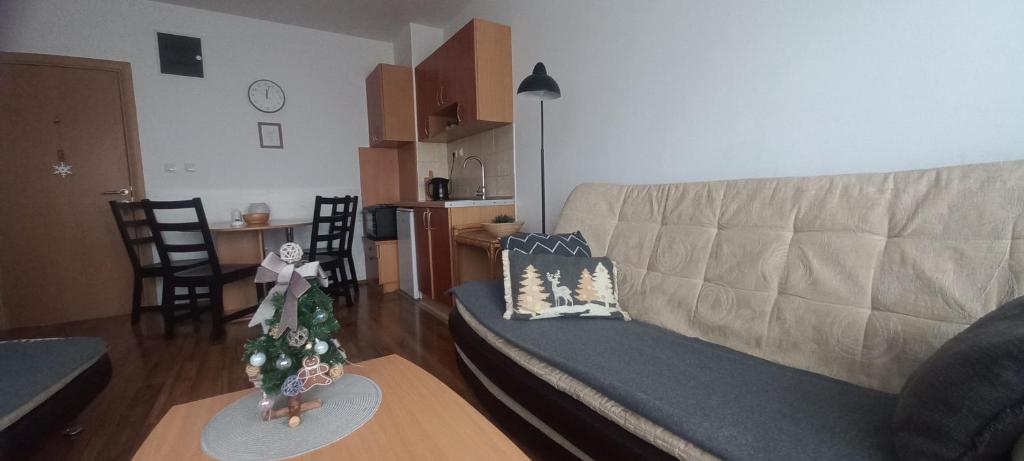 Divčibare Snežna Kraljica ap 13 - 2