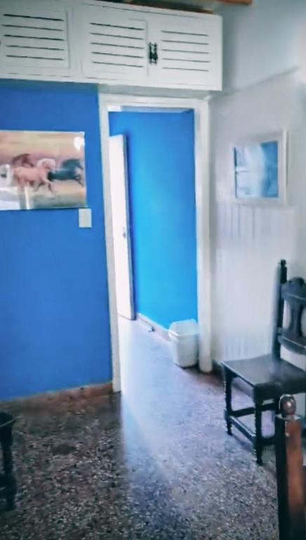 Duplex Gesell - 2