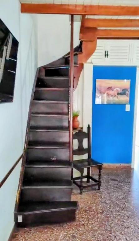 Duplex Gesell - 4