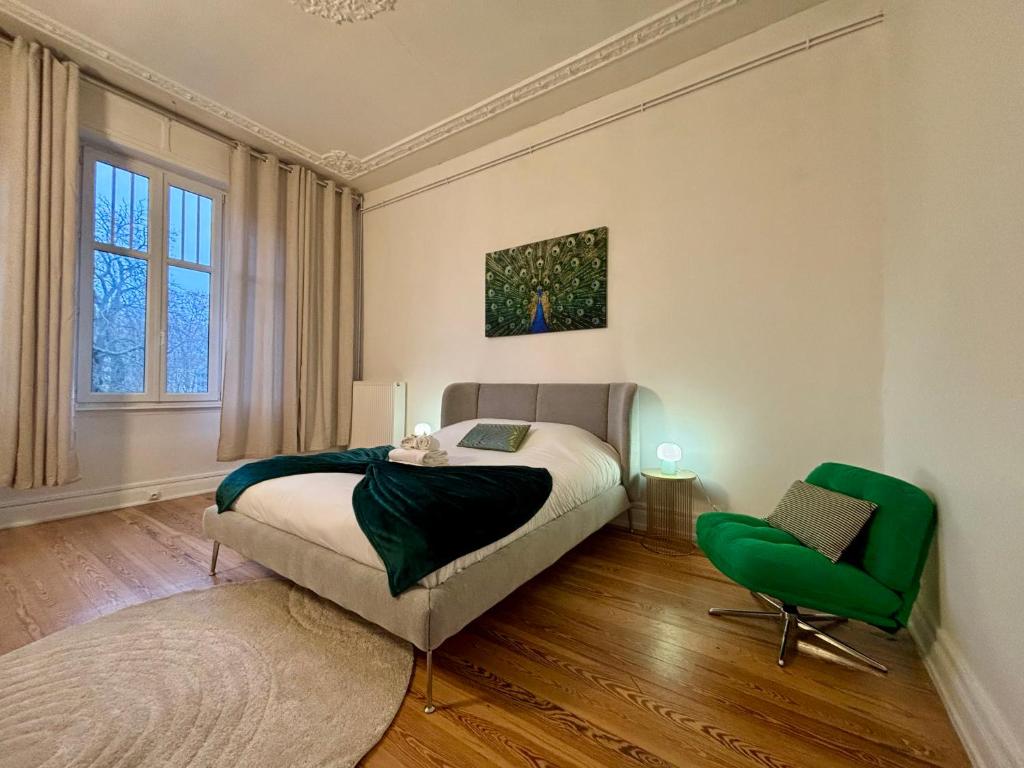 Luxurious central apartment Strasbourg center - 1