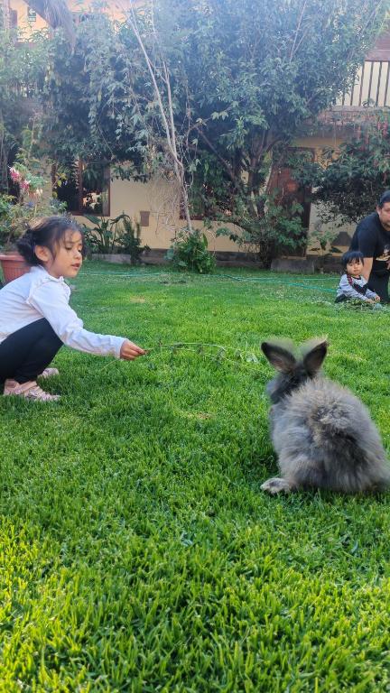 Hospedaje Chaska Pisac - 3
