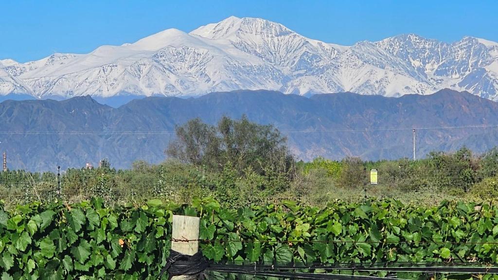 Rincon del Malbec - 5