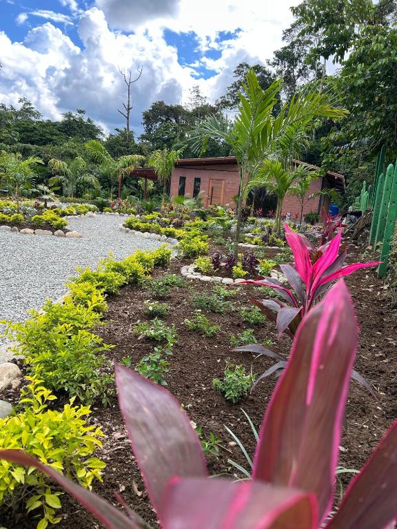 Azlins House - 4