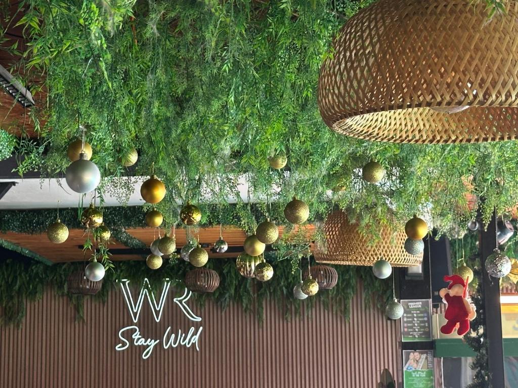 Wild Rover Huacachina - 3