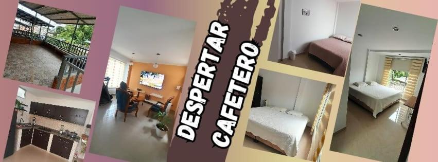 Despertar Cafetero - 1