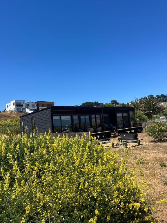 Sirena Lodge - 2