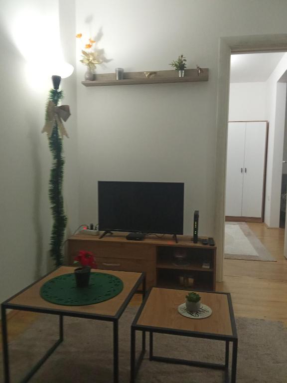 Apartmani Janićijević 2 - 3