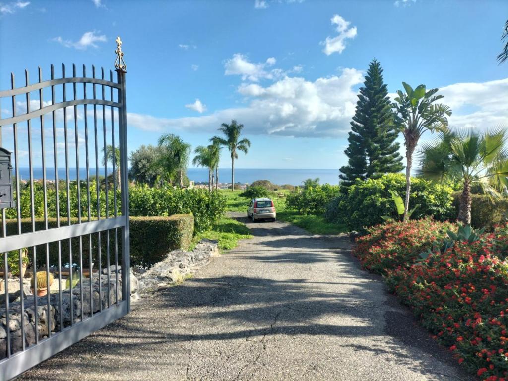 Profumo di Zagara Acireale - 2
