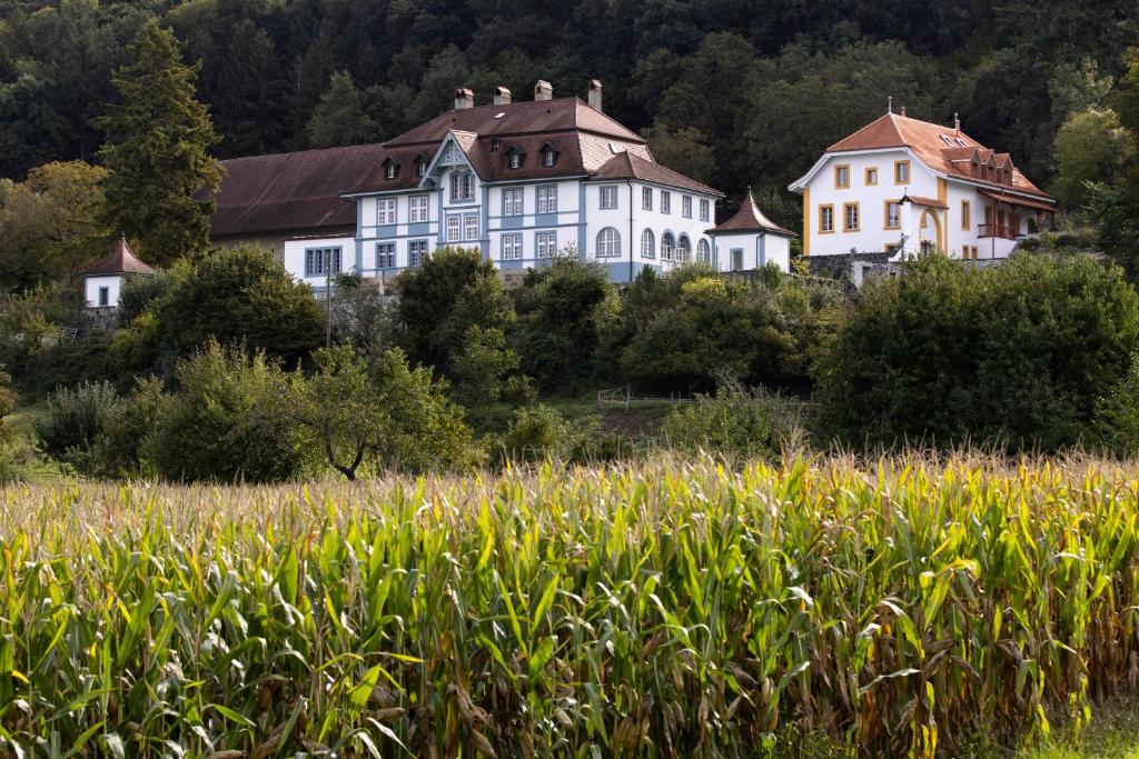 Château de Marnand - Duplex à la ferme - 1