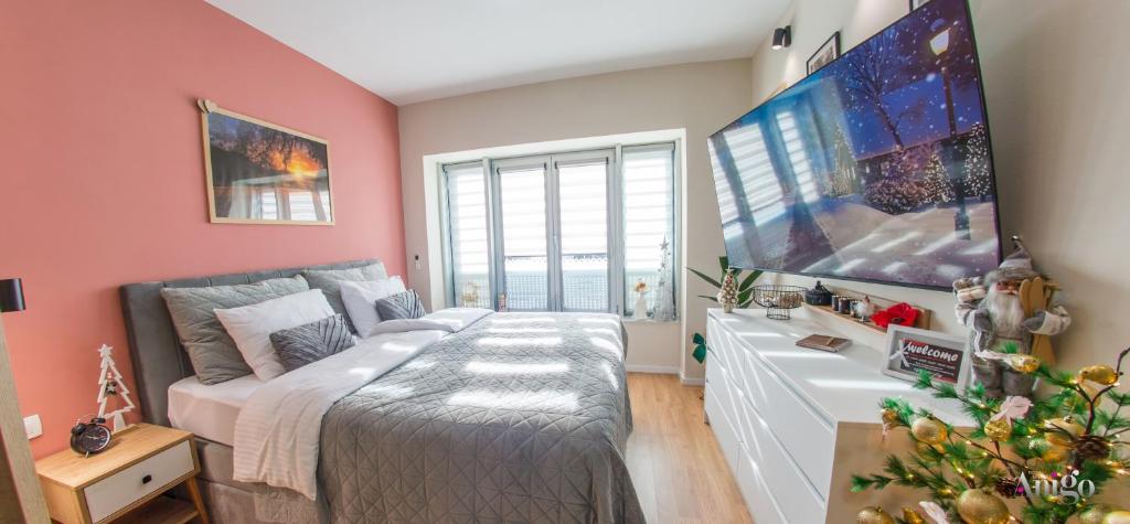 Iris Studio Apartment - 1
