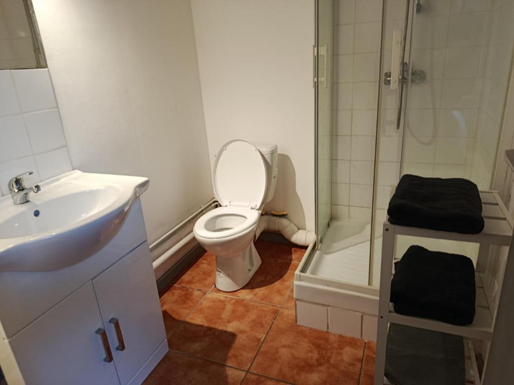 Grand studio proche centre - 5