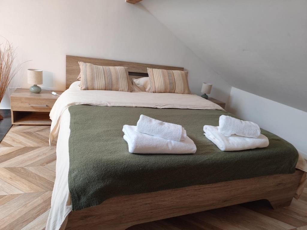 appartement duplex proche centre Metz - 5