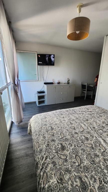 Cosy Studio Monplaisir Lumière Metro Lyon 8 - 5