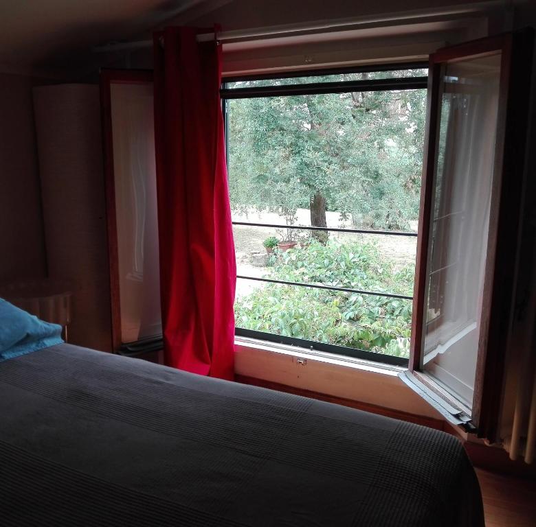 Una casina nel verde a Firenze - 3