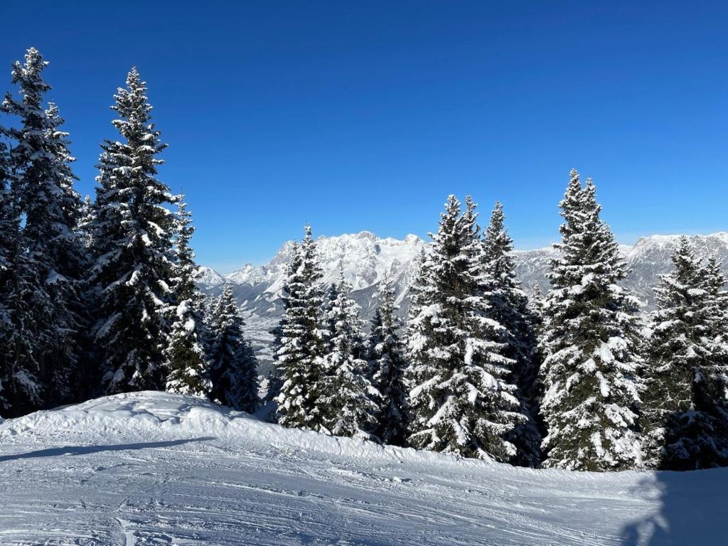 Holiday home Gröbming Ski Mountains - 2