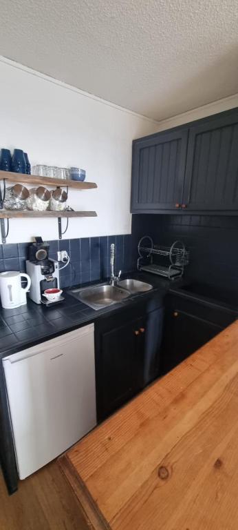 Studio cabine Cosy, vue sur montagnes avec garage - 4
