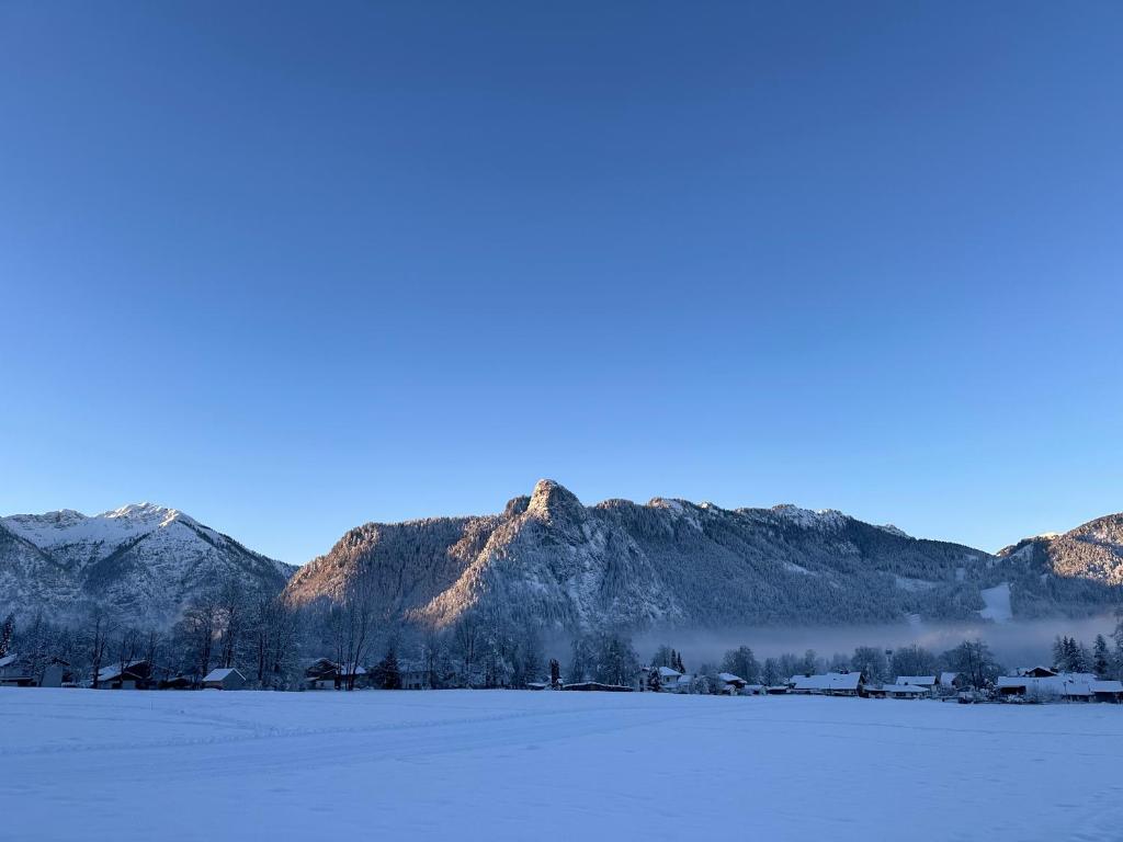 Ferienwohnung Alpenblick - 5