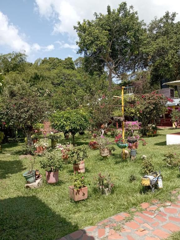 Villa Jacky Gigante Huila Casa de Campo - 2