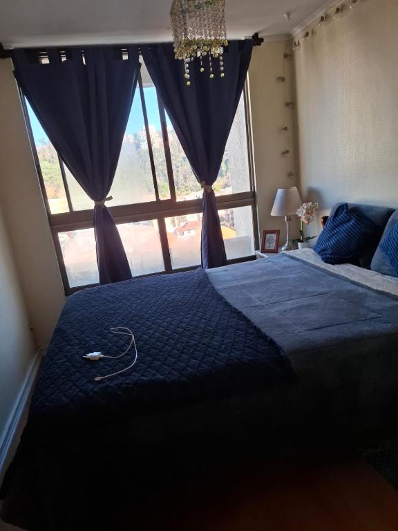 Amplio departamento viña centro - 1