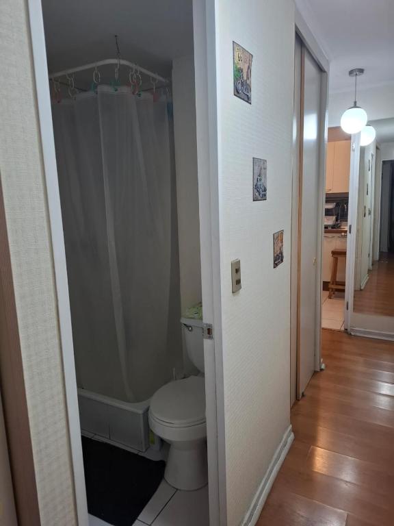 Amplio departamento viña centro - 3