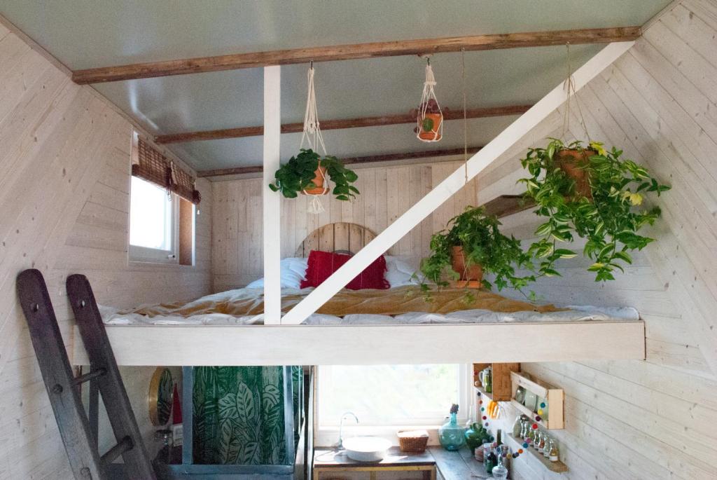 Tiny house - Projet COCON - 2