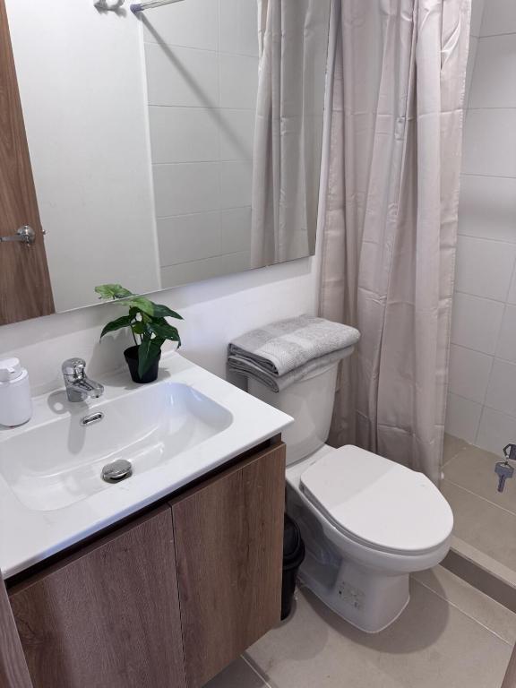 Comodo Apartamento con Ubicacion Central - 5