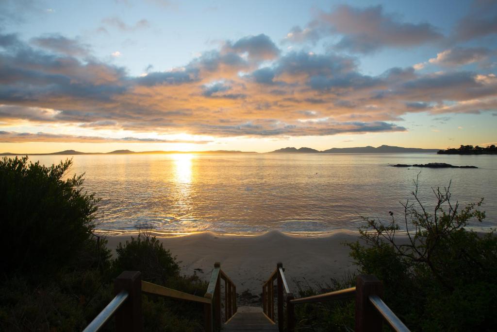 Swansea Beach Chalets photo