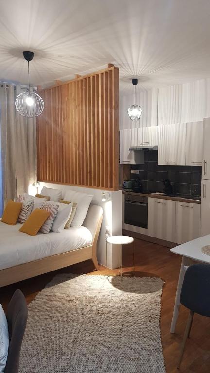 Magnifique appartement de standing climatisé lumineux - 5