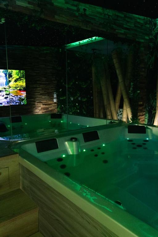 Suite Jungle Room - 3