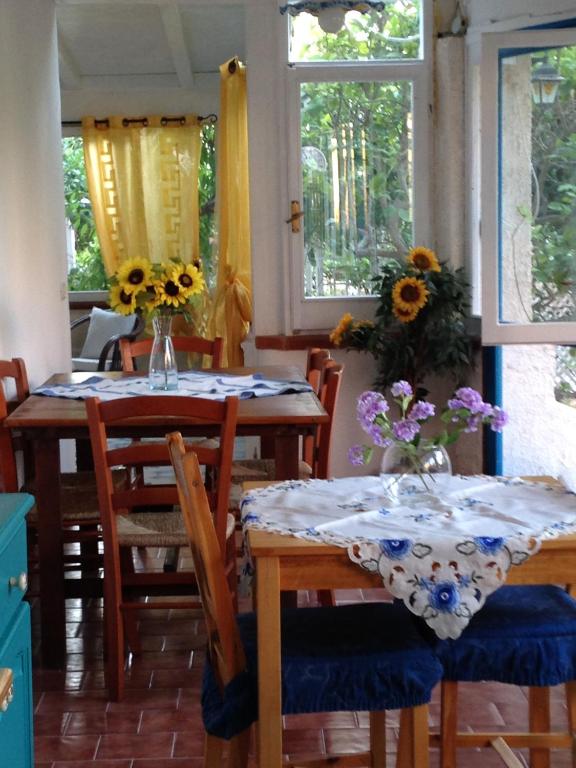 La Casa del Limoneto - 4