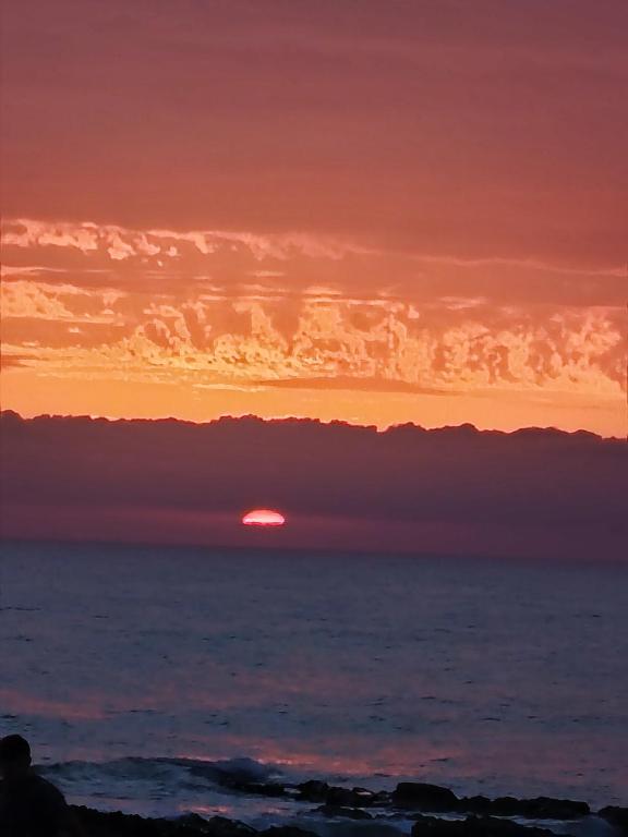 Mi pequeño Santuario - 4