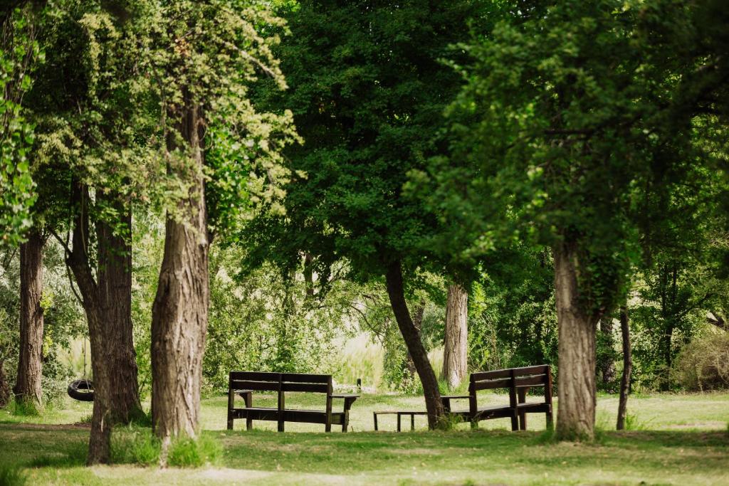 La Casita del Bosque - 4