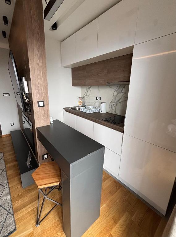 Mountain View Apartment - Vila Golija - 3