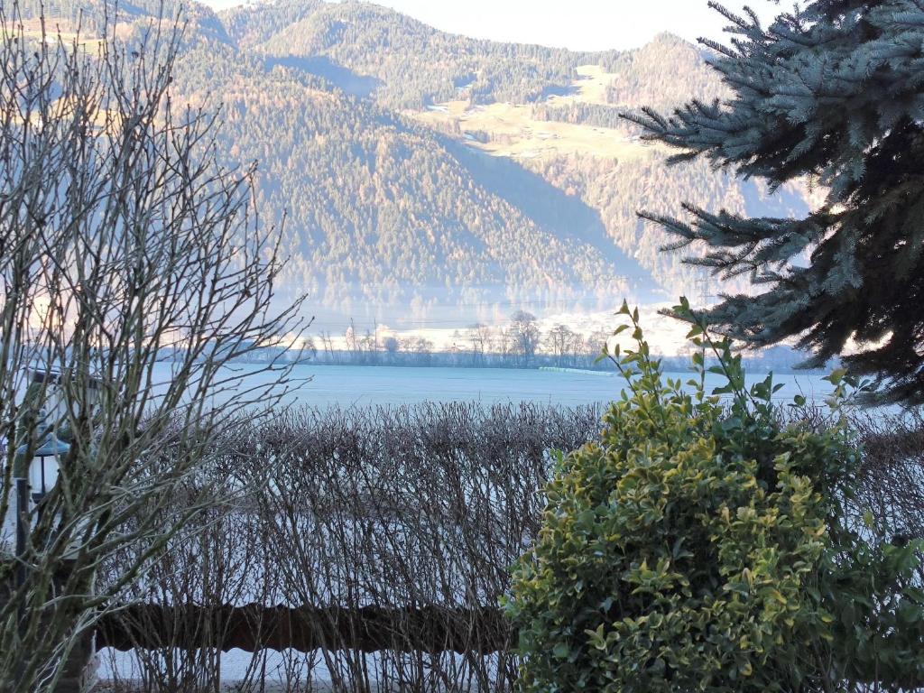 Zillertal Alpenblick - 5