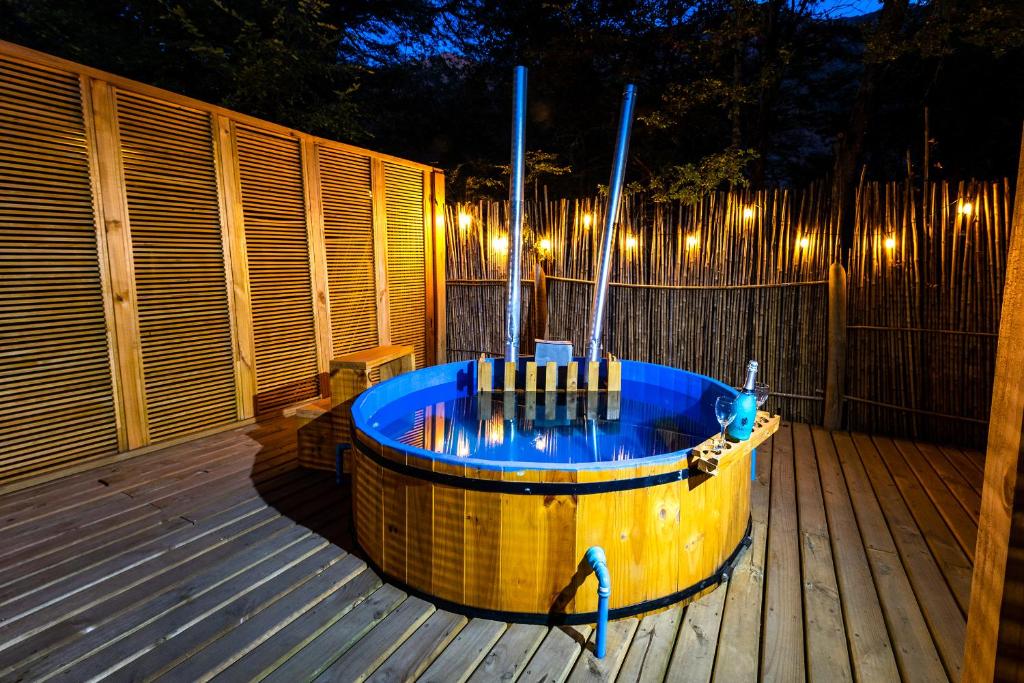 TERMAS DE CHILLAN Las Trancas - 4