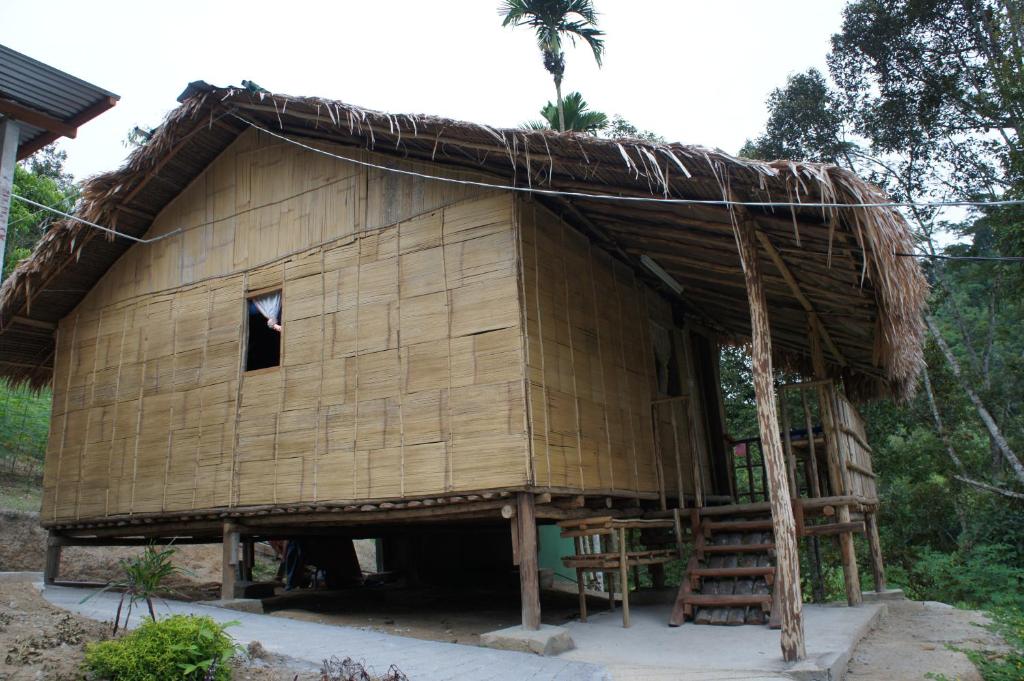 Rain Forest Inn photo