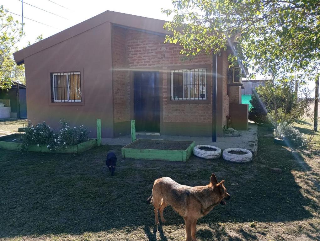 Cabaña Los Changuitos - 1