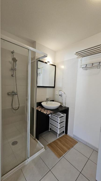 Large 3bdrm ski apartment next to telecabine - 2