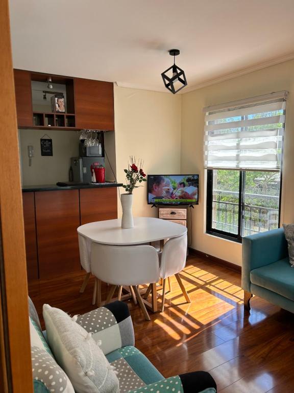 Departamento amoblado Alameda Talca - 3