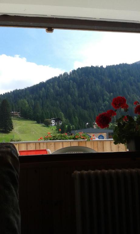 Residenza Grazia photo