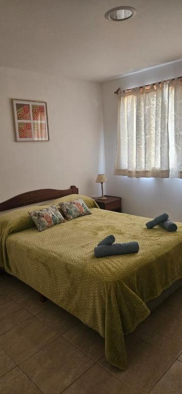 Eco Apart - Hotel TDF - 5