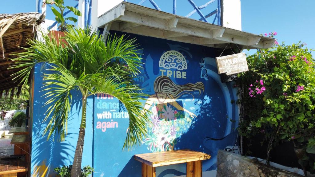 Brisa de Alma 수영장