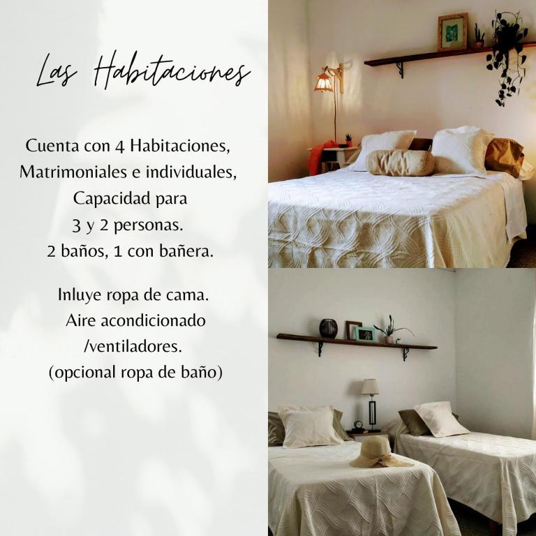 Casa Pinar - 1
