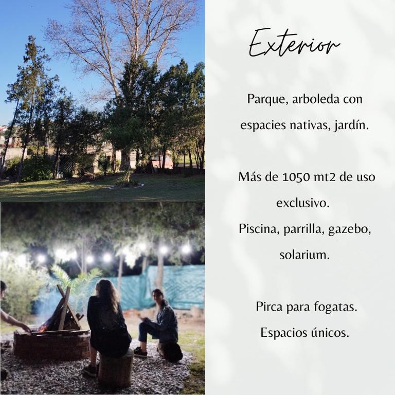 Casa Pinar - 3