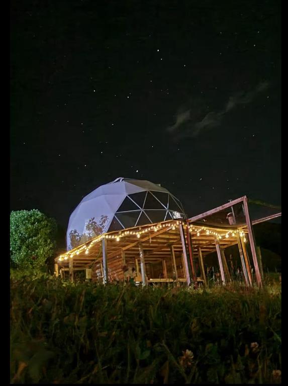 Glamping Store - 1