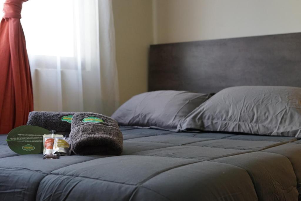Hotel Boutique Parque Brasil - 5
